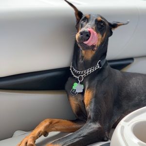 Meet your Posher, Samantha